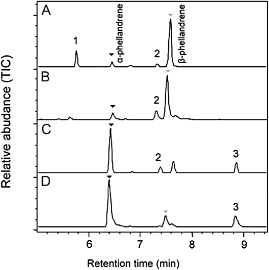 Figure 11.