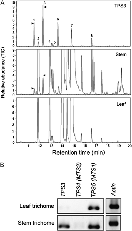 Figure 7.