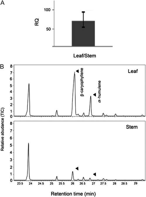 Figure 6.