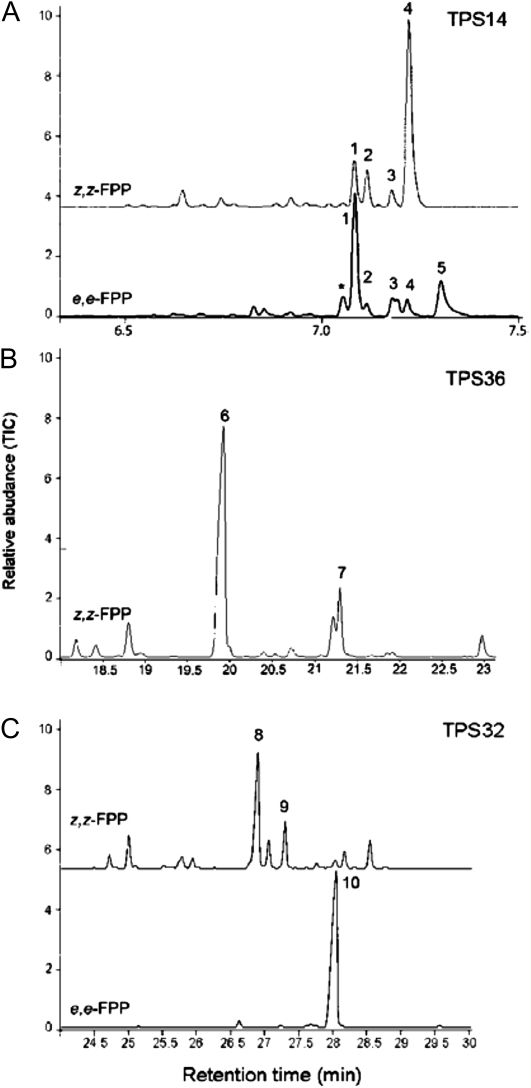 Figure 4.