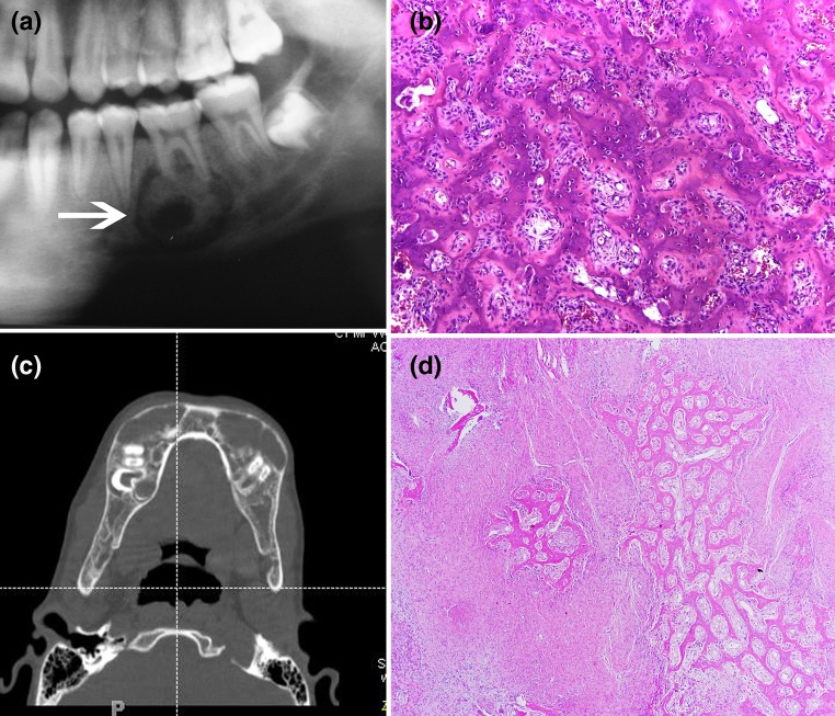 Fig. 4