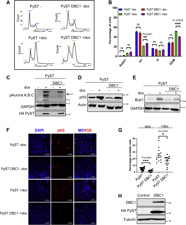 Figure 3