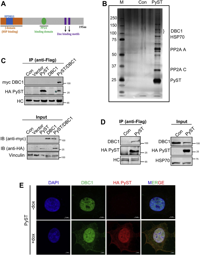 Figure 1