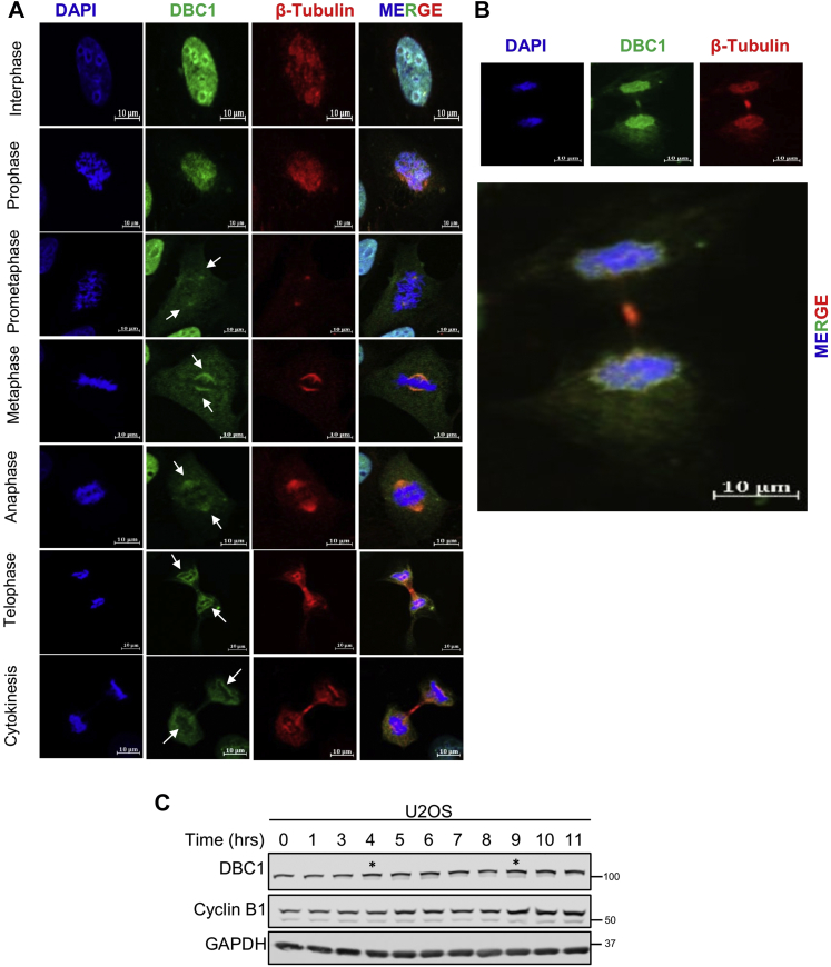 Figure 4