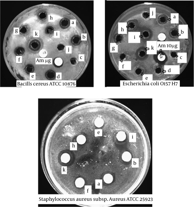 Figure 4.