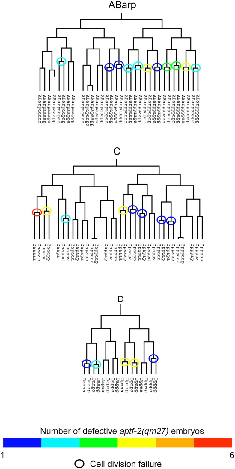 Fig 6