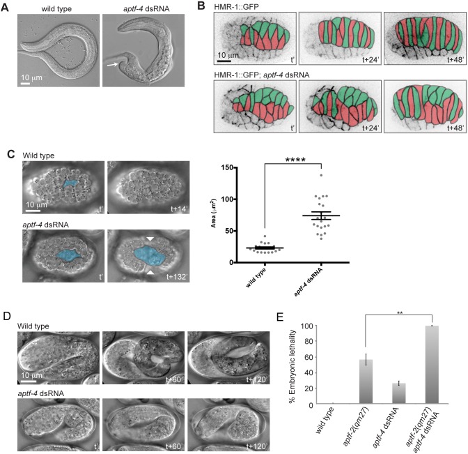 Fig 9