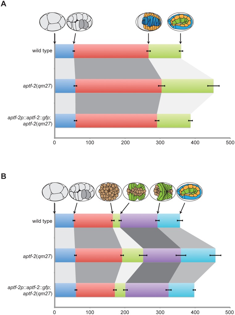 Fig 5