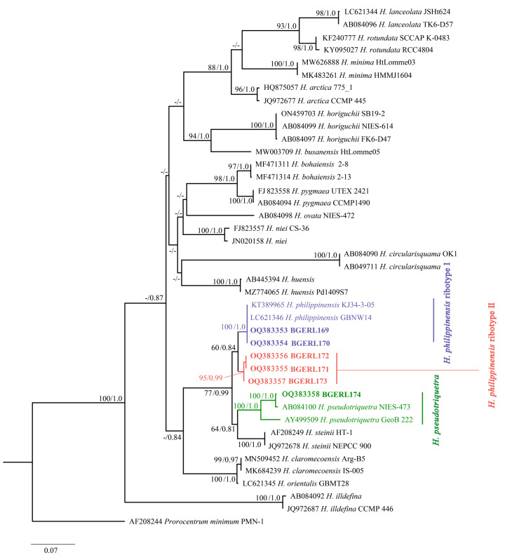 Figure 6