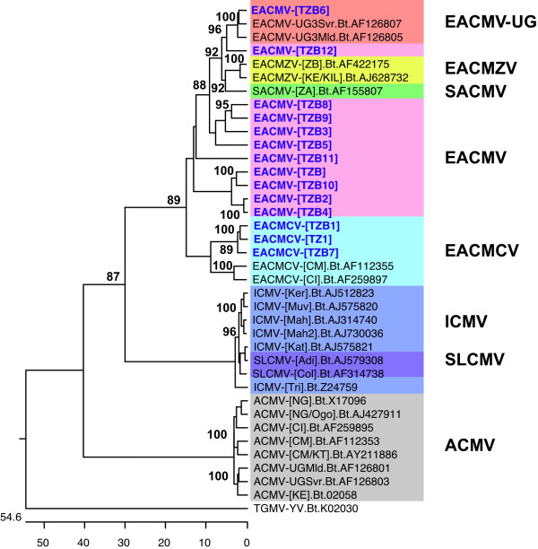 Figure 4