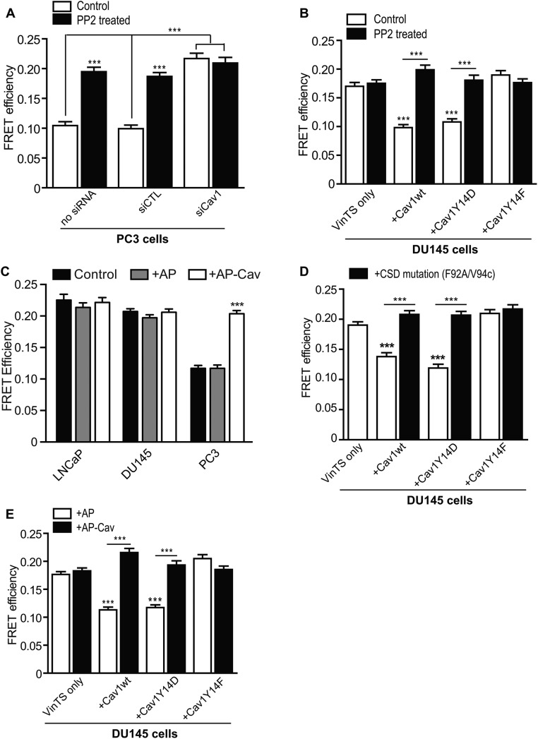 FIGURE 5: