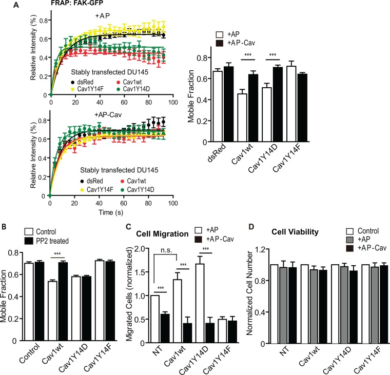 FIGURE 2: