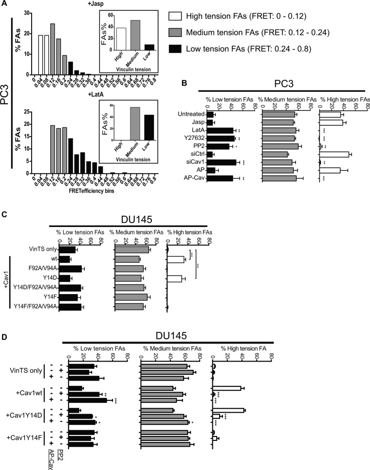 FIGURE 6: