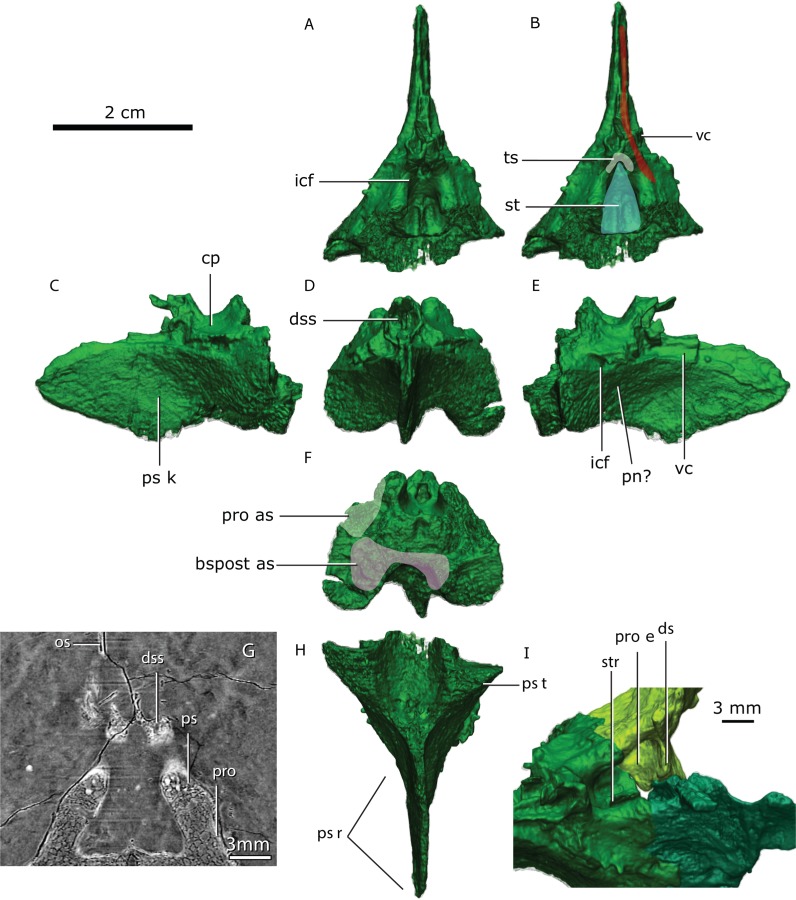 Figure 12