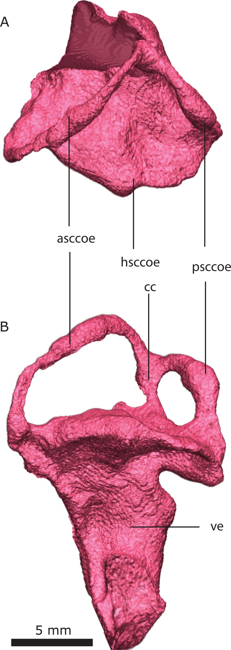 Figure 21