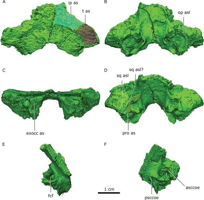 Figure 10