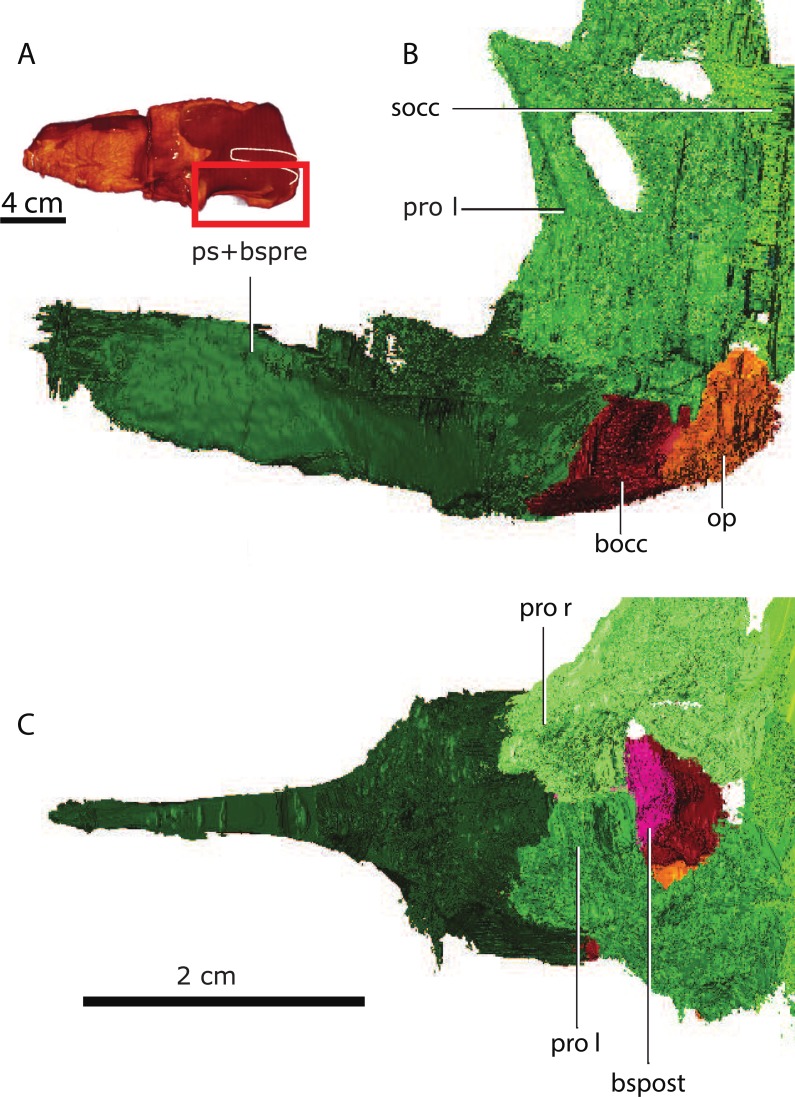 Figure 17