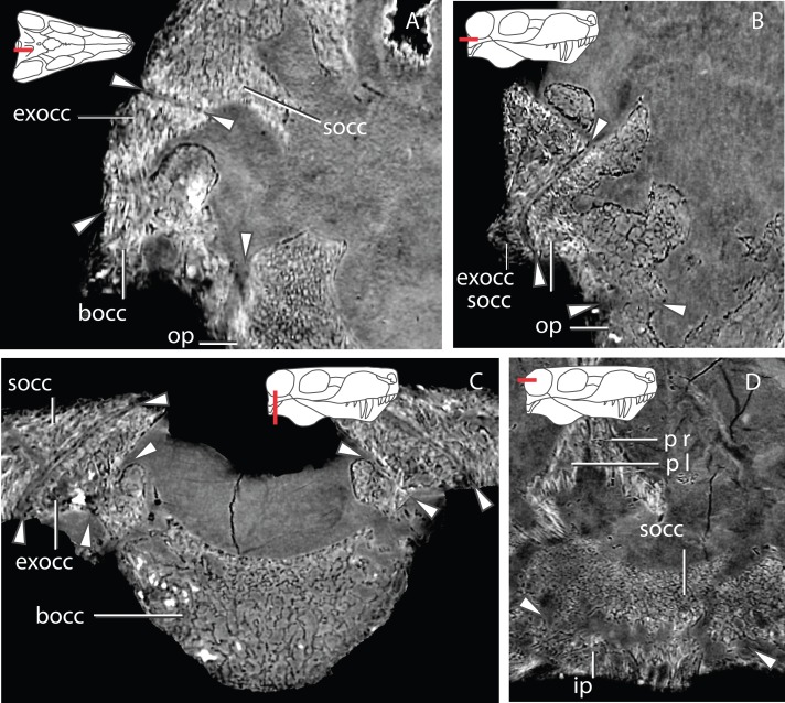 Figure 18