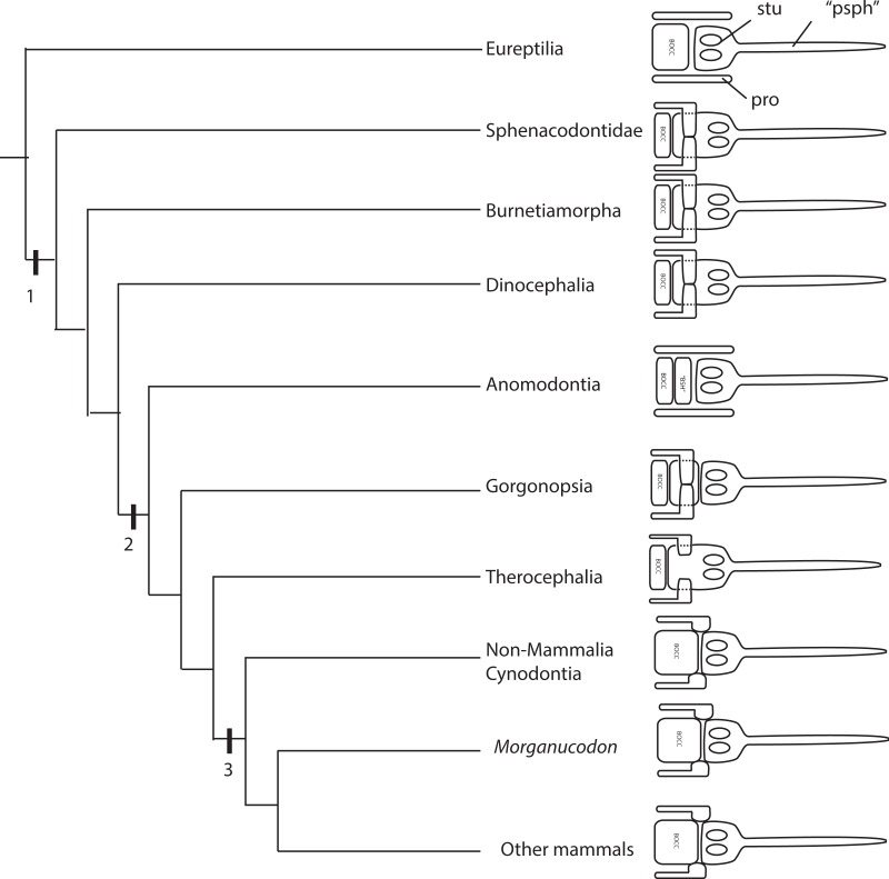 Figure 20