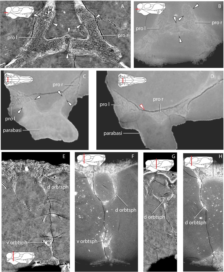 Figure 19