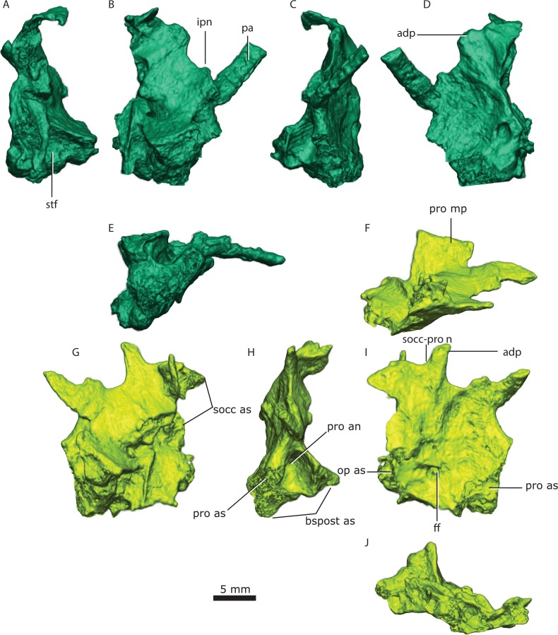 Figure 5