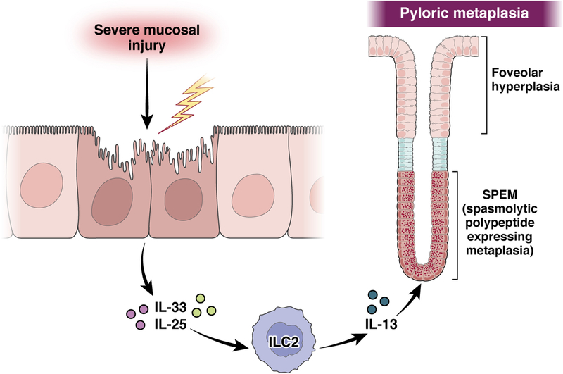 Figure 4: