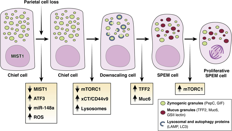 Figure 2: