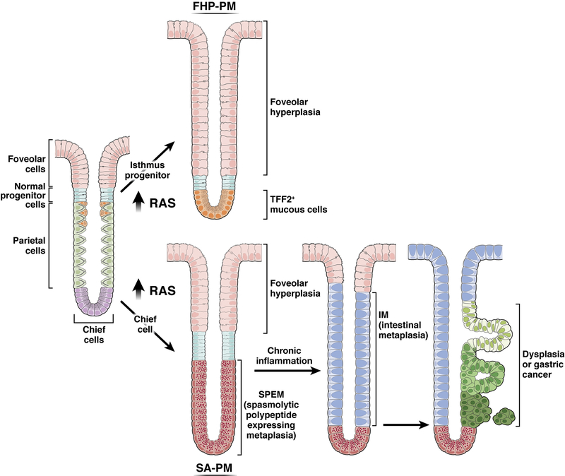 Figure 3: