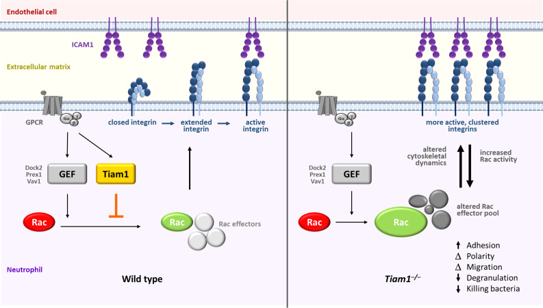 Figure 10