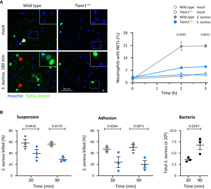 Figure 4