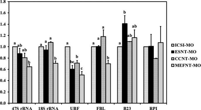 FIGURE 13.