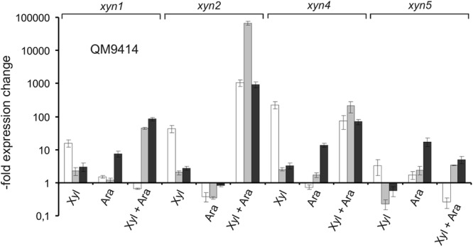 Fig 6