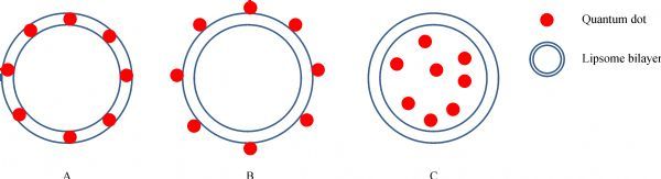 Fig.1