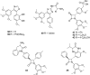 Fig. 10