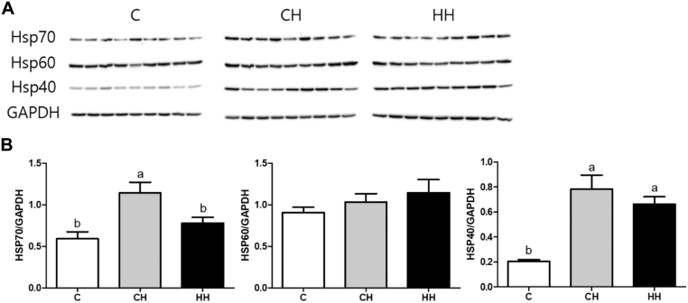 Figure 3