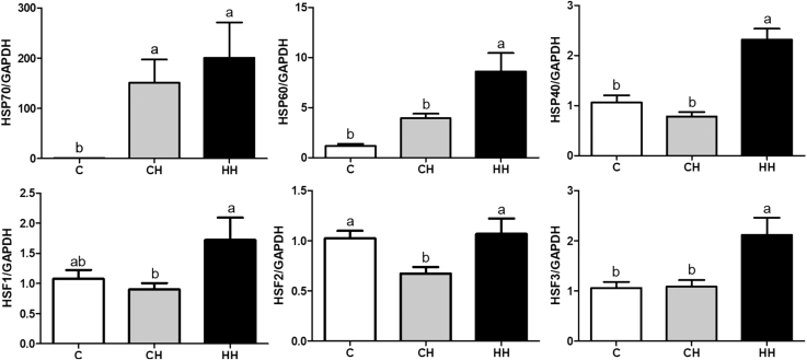 Figure 4