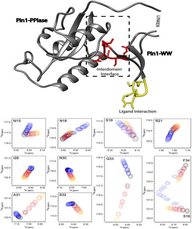 Figure 1: