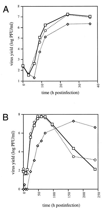 FIG. 5