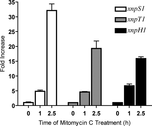 Fig. 2.