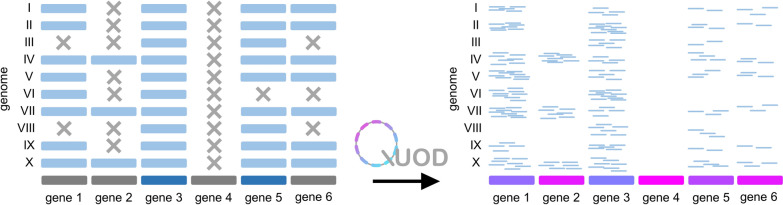 Fig. 1