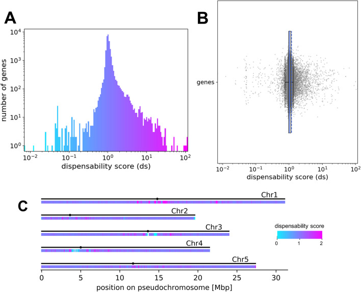 Fig. 2