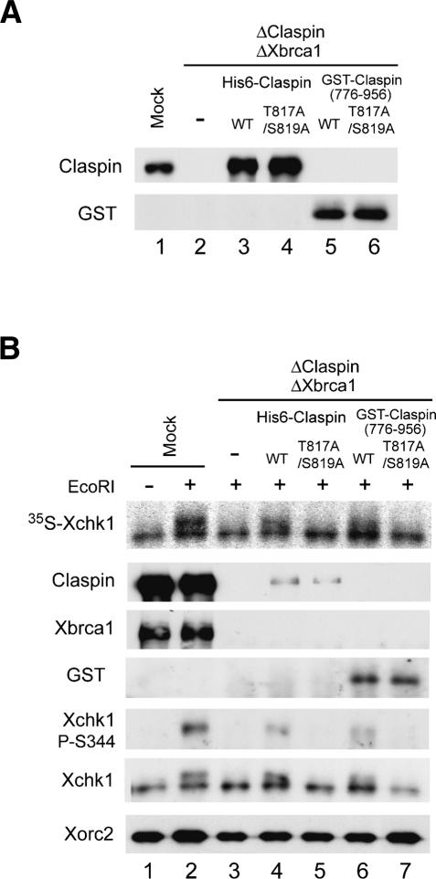 Figure 7.