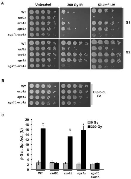 FIG. 1