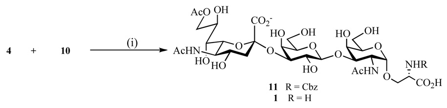 Scheme 3