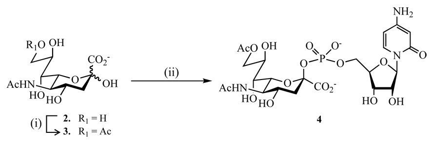 Scheme 1