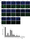 FIG 6