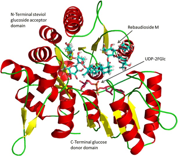 Fig. 3