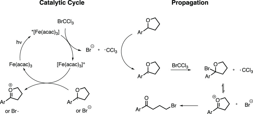 Scheme 6