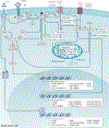 Fig. 2 |