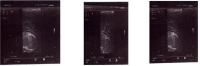 Fig. 4: